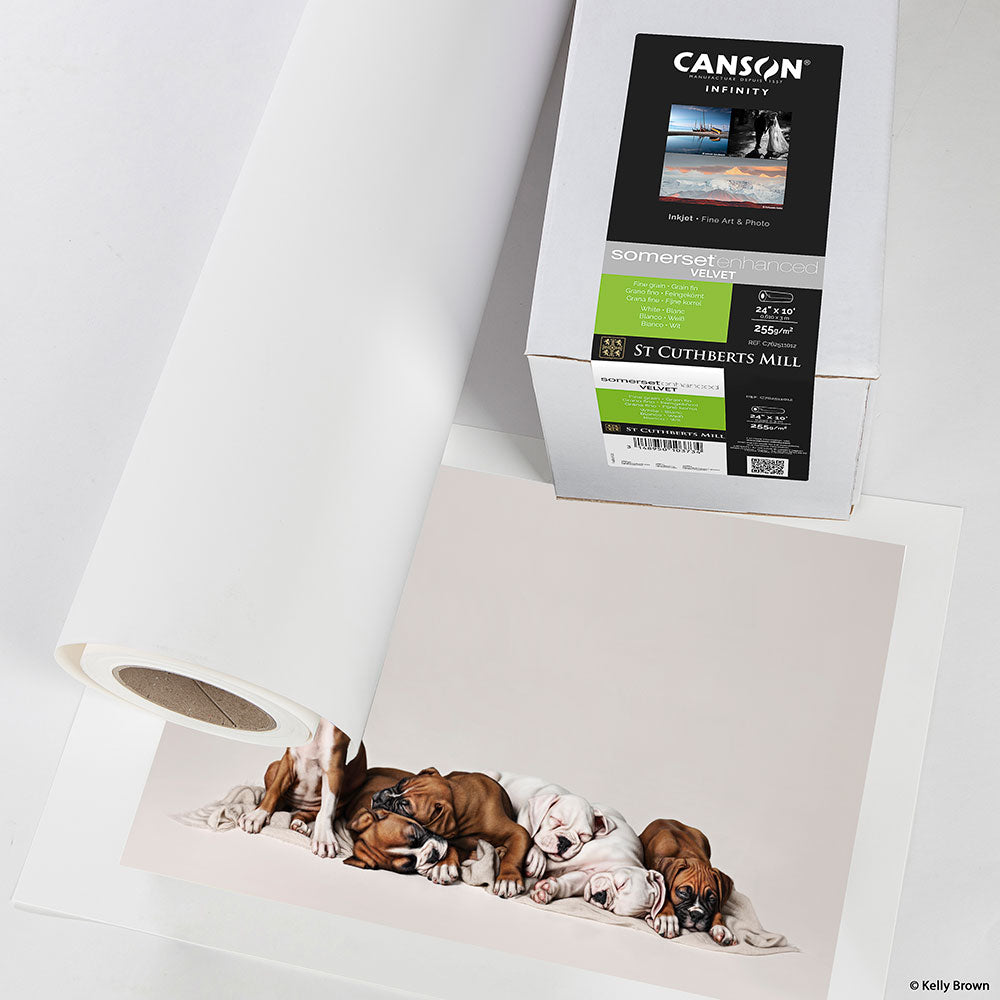 Canson Somerset Enhanced Velvet