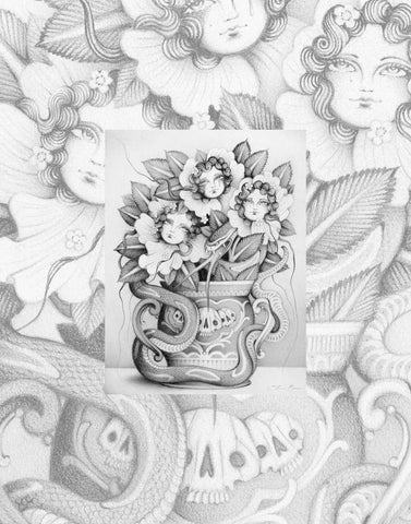 CINK x ClaraBoo | Vivace