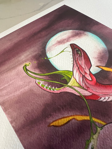 CINK x Leftcoast Snake print